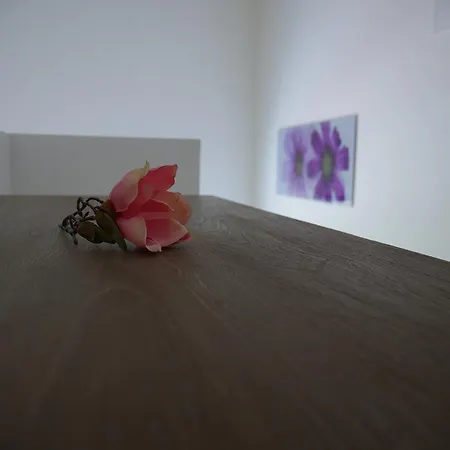 Case de vacanță Paradise